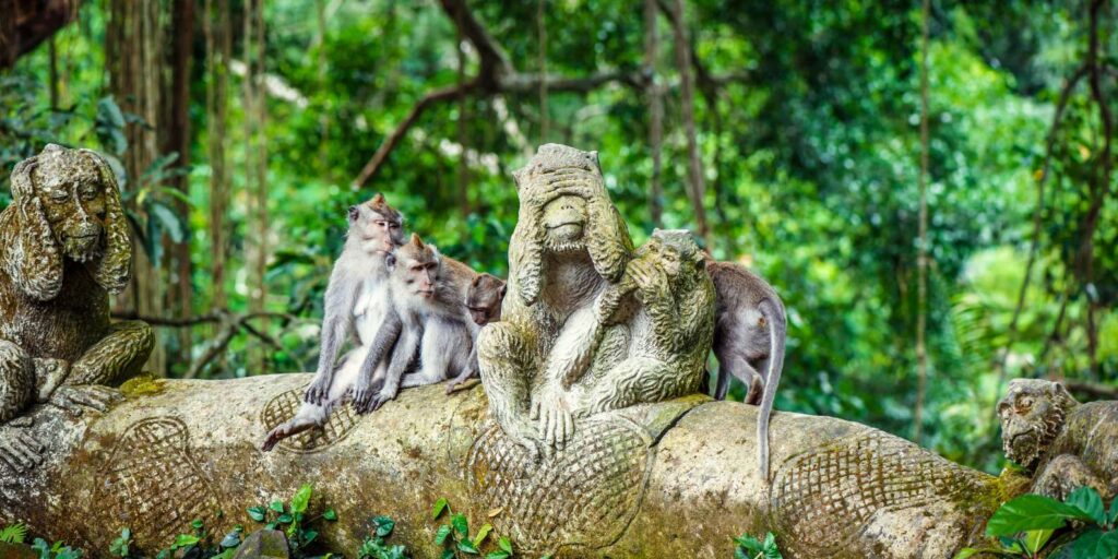 Bali Ubud Monkey Forest
