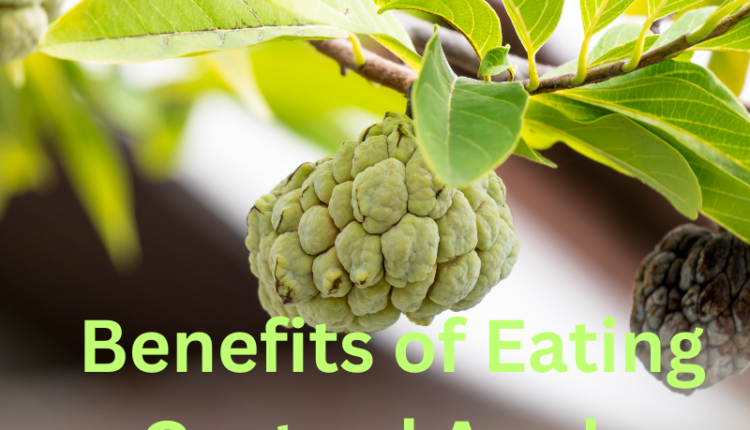 A ripe custard apple cut open to reveal its creamy flesh, highlighting the health benefits of eating custard apple as discussed in the blog.