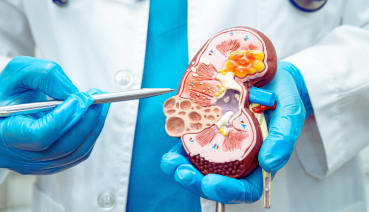 A graphic showing a human kidney with warning signs, illustrating the early symptoms of kidney damage from alcohol consumption as discussed in the blog.